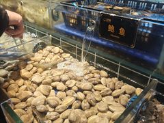 -九月海·海鲜自助(世纪东方店)