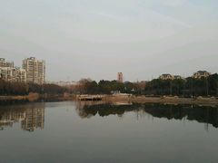 -新江湾城公园