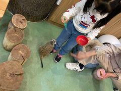-藦茜花园宠物主题亲子互动体验馆(国顺东路店)