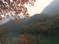 -青龙山生态文化旅游区(慈云寺)
