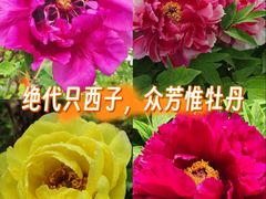 -太阳宫公园