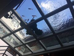 -蜜舍咖啡(洋人街店)