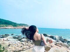 -广东惠东海龟国家级自然保护区