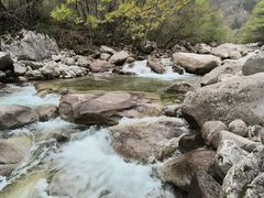 -青峰峡国家森林公园