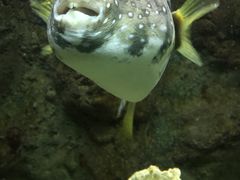 -杭州长乔极地海洋公园
