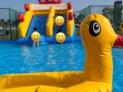 -春花秋色城市公园