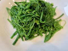 藤藤菜-天府掌柜(九眼桥店)