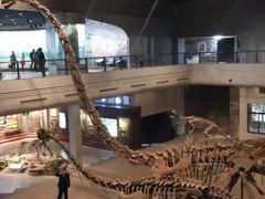 -自贡恐龙博物馆