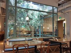 大堂-大树餐厅(大悦城店)