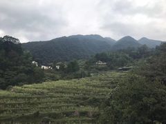 -石台牯牛降景区
