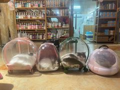 -转角宠物(转塘方家苑店)