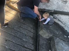 -阿尔卡特拉斯岛