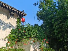 -沙家浜风景区