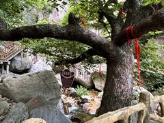 -洛阳白云山景区