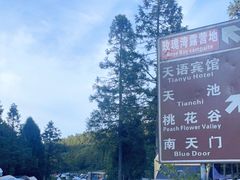 -武陵山森林公园