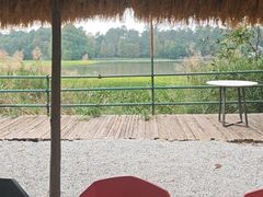 -南宁良凤江国家森林公园