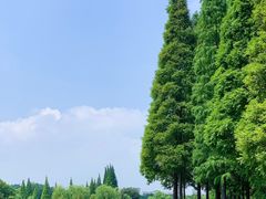-宜兴龙背山森林公园