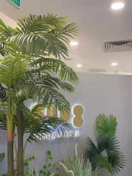 -八佰伴8008星级形象店