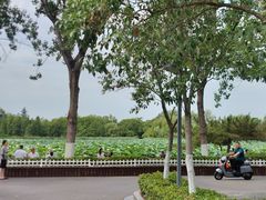 -云龙湖旅游景区