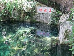 -蝴蝶泉公园