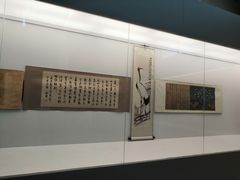 -盐城丹顶鹤湿地生态旅游区
