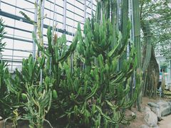 -南山植物园