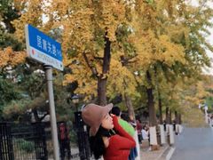 -八大关景区