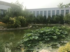 -北京国家会计学院