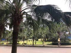-重庆海昌加勒比海水世界