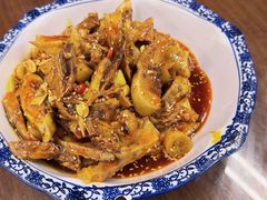 -龙翔山庄雷鸡肉(青城后山泰安古镇店)