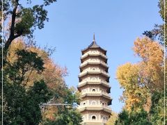 -灵谷景区