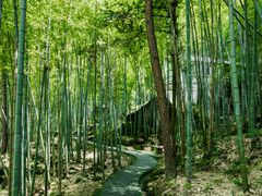 -百杖潭景区