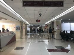 -复旦大学附属妇产科医院(杨浦院区)