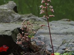 -瀛洲公园