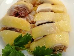 -口衣记鸡饭店