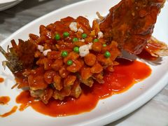 松鼠桂鱼-新梅华餐厅(星悦汇店)
