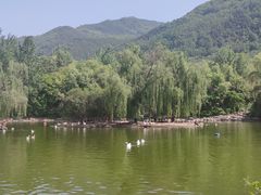 -西安秦岭野生动物园