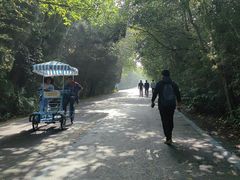-盐城丹顶鹤湿地生态旅游区