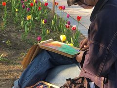 -长春公园(普阳街道)