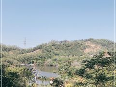 -深圳仙湖植物园