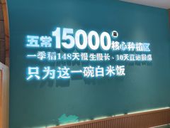 -谷田稻香·砂锅菜(元洪店)