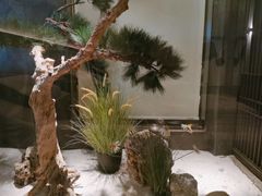 -见康道莱•足浴按摩•艾灸•SPA(友谊店)