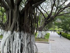 -厦门大学(思明校区)