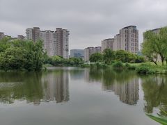 -新江湾城公园