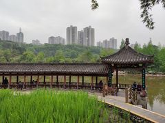 -龙头寺公园