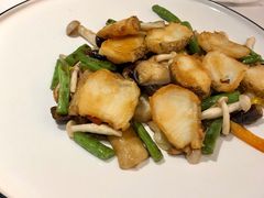香菌煎炒银鳕鱼-味钱塘·钱塘渔鲜·地道江浙菜(宋城店)