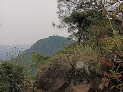 -大龙山(地铁站)