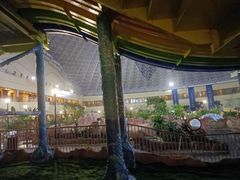 -青岛海泉湾皇冠假日度假酒店