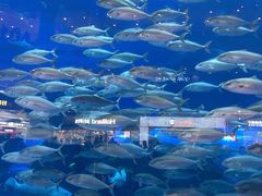 -成都浩海立方海洋公园