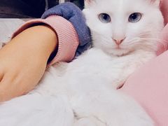-一片田陶艺工作室